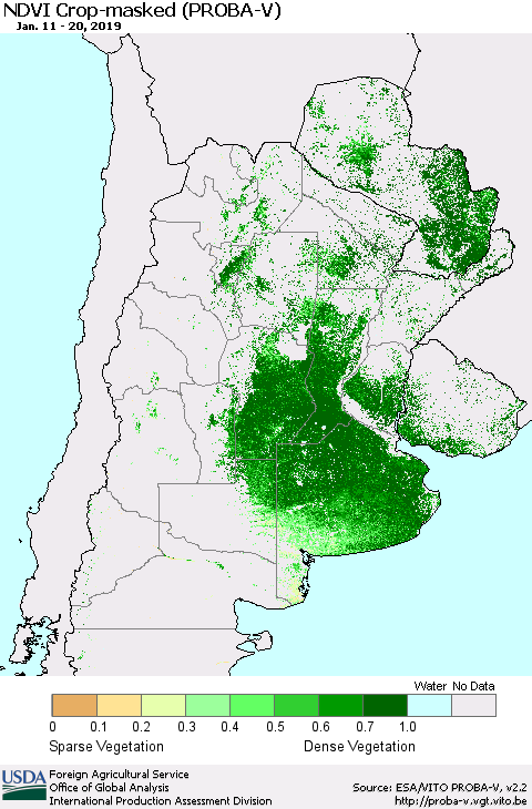 Southern South America NDVI Crop-masked (PROBA-V) Thematic Map For 1/11/2019 - 1/20/2019