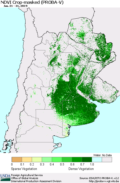 Southern South America NDVI Crop-masked (PROBA-V) Thematic Map For 1/21/2019 - 1/31/2019