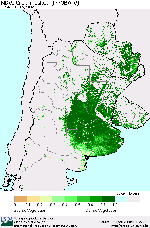 Southern South America NDVI Crop-masked (PROBA-V) Thematic Map For 2/11/2020 - 2/20/2020