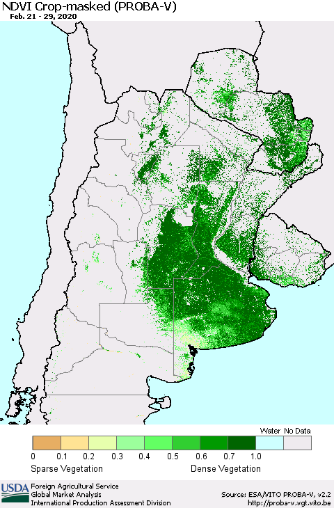 Southern South America NDVI Crop-masked (PROBA-V) Thematic Map For 2/21/2020 - 2/29/2020