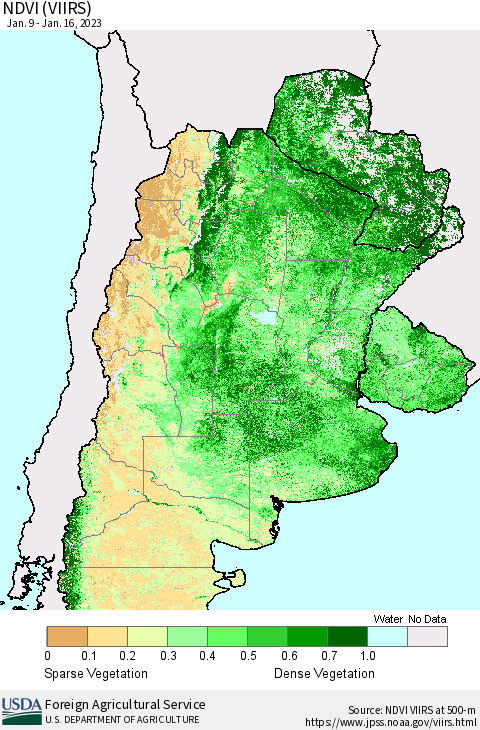 Southern South America NDVI (VIIRS) Thematic Map For 1/11/2023 - 1/20/2023