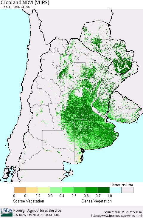 Southern South America Cropland NDVI (VIIRS) Thematic Map For 1/21/2021 - 1/31/2021