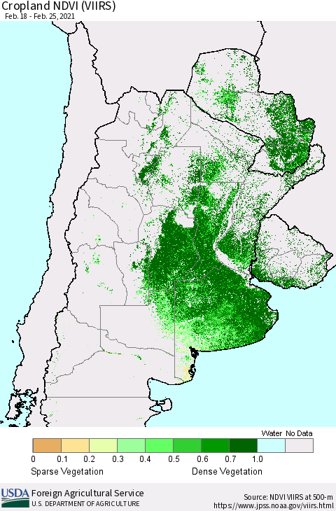 Southern South America Cropland NDVI (VIIRS) Thematic Map For 2/21/2021 - 2/28/2021