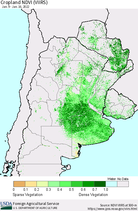 Southern South America Cropland NDVI (VIIRS) Thematic Map For 1/11/2022 - 1/20/2022