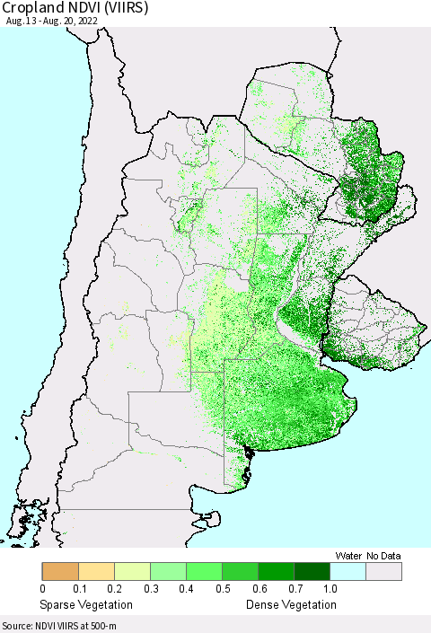 Southern South America Cropland NDVI (VIIRS) Thematic Map For 8/13/2022 - 8/20/2022