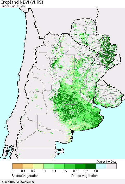 Southern South America Cropland NDVI (VIIRS) Thematic Map For 1/9/2023 - 1/16/2023
