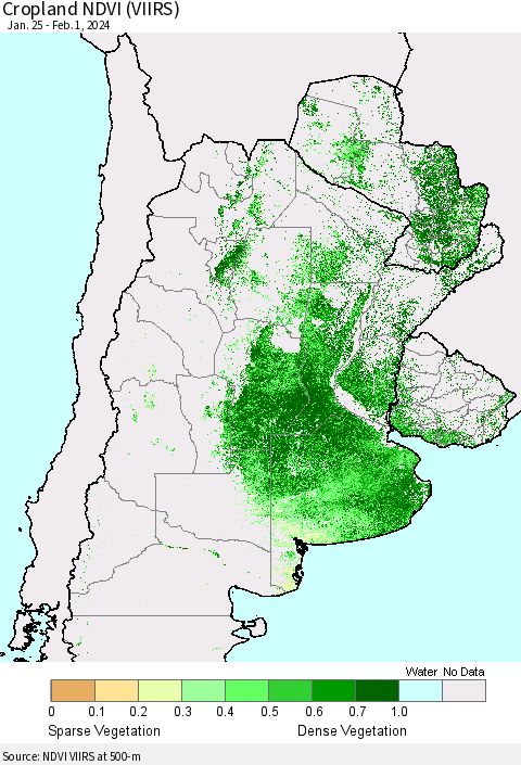 Southern South America Cropland NDVI (VIIRS) Thematic Map For 1/25/2024 - 2/1/2024