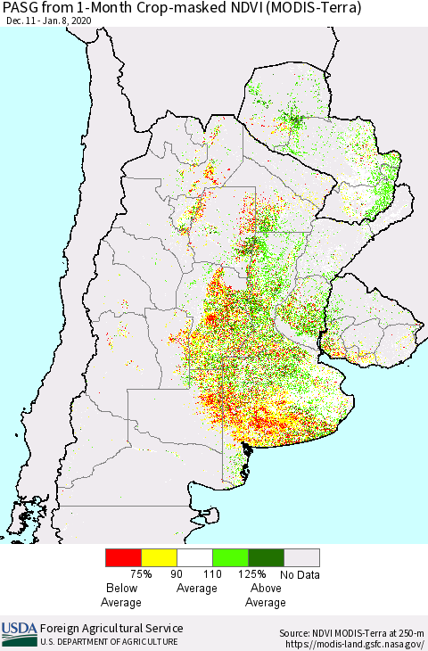 Southern South America PASG from 1-Month Cropland NDVI (Terra-MODIS) Thematic Map For 1/1/2020 - 1/10/2020
