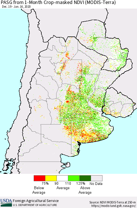 Southern South America PASG from 1-Month Cropland NDVI (Terra-MODIS) Thematic Map For 1/11/2020 - 1/20/2020