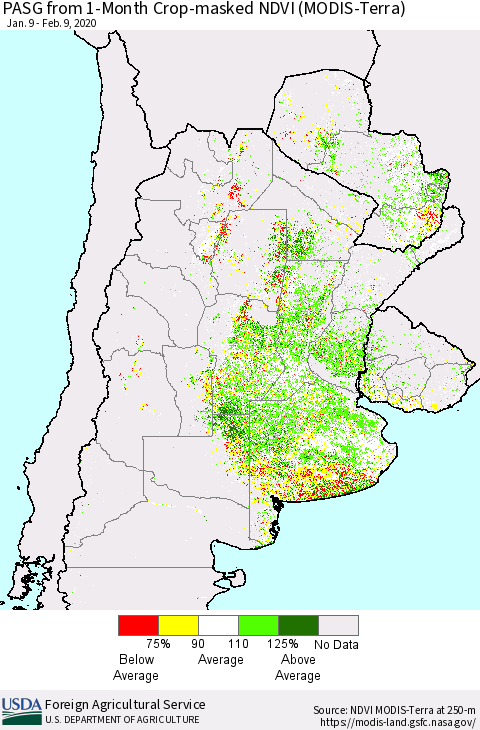 Southern South America PASG from 1-Month Cropland NDVI (Terra-MODIS) Thematic Map For 2/1/2020 - 2/10/2020