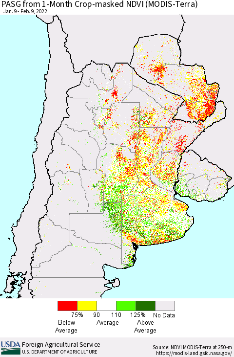 Southern South America PASG from 1-Month Cropland NDVI (Terra-MODIS) Thematic Map For 2/1/2022 - 2/10/2022
