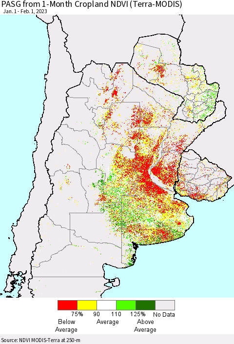 Southern South America PASG from 1-Month Cropland NDVI (Terra-MODIS) Thematic Map For 1/25/2023 - 2/1/2023