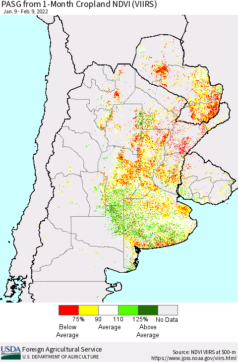 Southern South America PASG from 1-Month Cropland NDVI (VIIRS) Thematic Map For 2/1/2022 - 2/10/2022