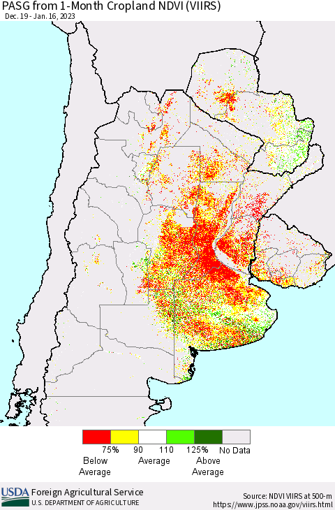 Southern South America PASG from 1-Month Cropland NDVI (VIIRS) Thematic Map For 1/11/2023 - 1/20/2023