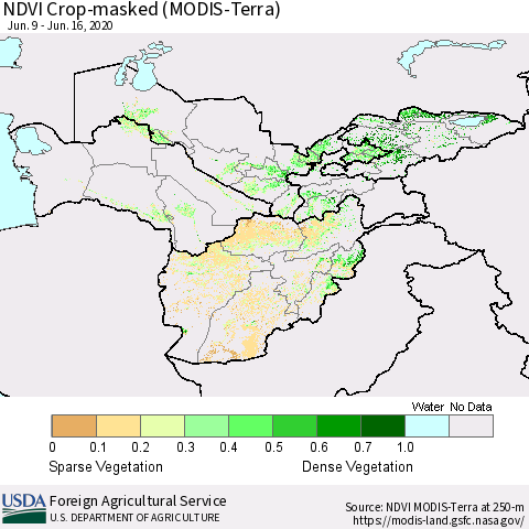 Central Asia Cropland NDVI (Terra-MODIS) Thematic Map For 6/11/2020 - 6/20/2020