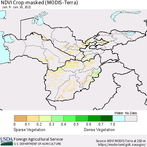 Central Asia Cropland NDVI (Terra-MODIS) Thematic Map For 1/11/2021 - 1/20/2021