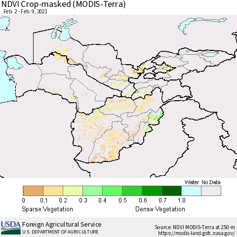 Central Asia Cropland NDVI (Terra-MODIS) Thematic Map For 2/1/2021 - 2/10/2021