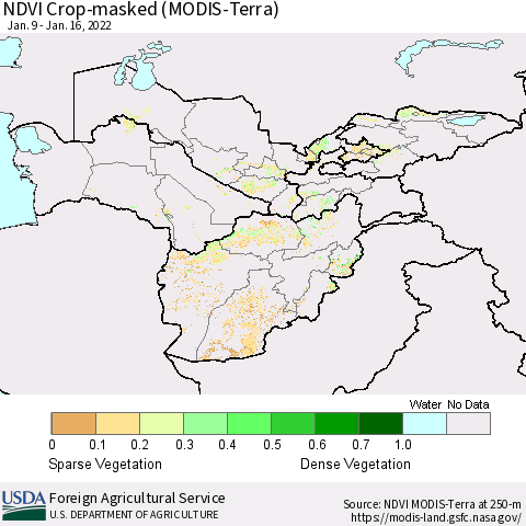 Central Asia Cropland NDVI (Terra-MODIS) Thematic Map For 1/11/2022 - 1/20/2022