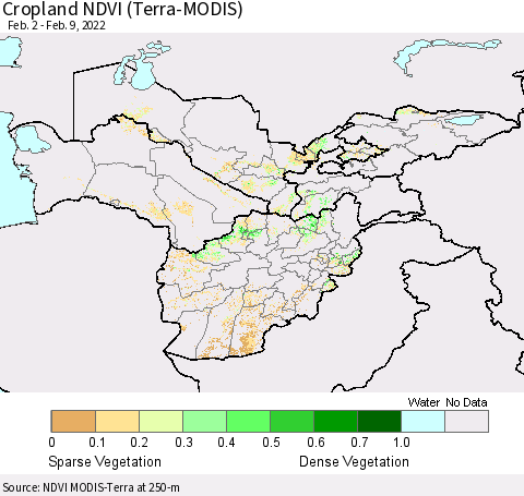 Central Asia Cropland NDVI (Terra-MODIS) Thematic Map For 2/2/2022 - 2/9/2022
