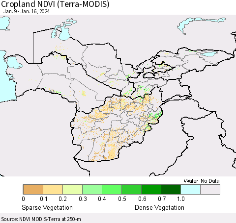 Central Asia Cropland NDVI (Terra-MODIS) Thematic Map For 1/9/2024 - 1/16/2024