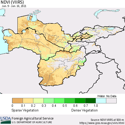 Central Asia NDVI (VIIRS) Thematic Map For 1/11/2021 - 1/20/2021