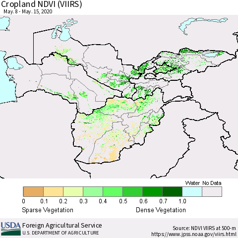 Central Asia Cropland NDVI (VIIRS) Thematic Map For 5/11/2020 - 5/20/2020