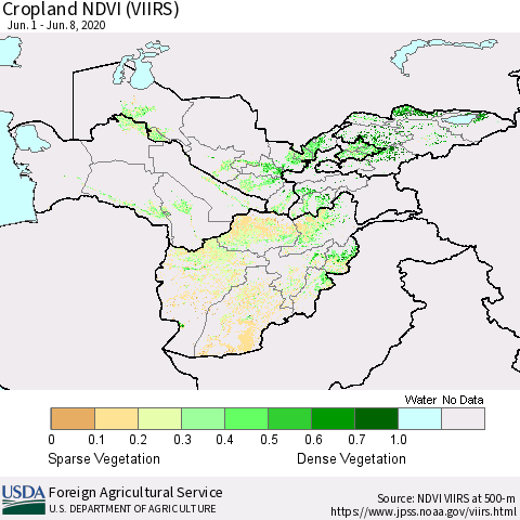 Central Asia Cropland NDVI (VIIRS) Thematic Map For 6/1/2020 - 6/10/2020