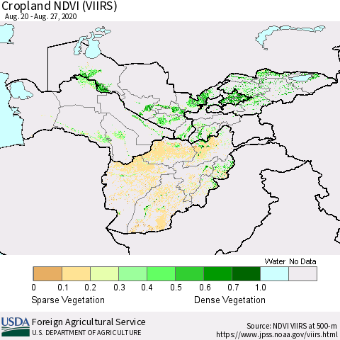 Central Asia Cropland NDVI (VIIRS) Thematic Map For 8/21/2020 - 8/31/2020