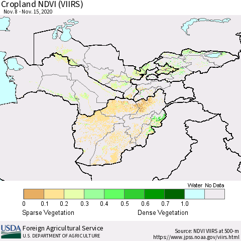 Central Asia Cropland NDVI (VIIRS) Thematic Map For 11/11/2020 - 11/20/2020