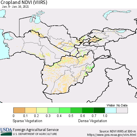 Central Asia Cropland NDVI (VIIRS) Thematic Map For 1/11/2021 - 1/20/2021