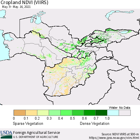 Central Asia Cropland NDVI (VIIRS) Thematic Map For 5/11/2021 - 5/20/2021