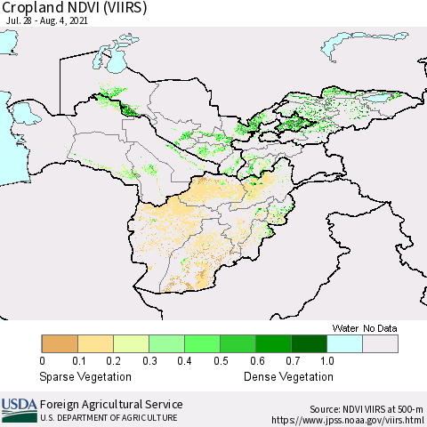 Central Asia Cropland NDVI (VIIRS) Thematic Map For 8/1/2021 - 8/10/2021