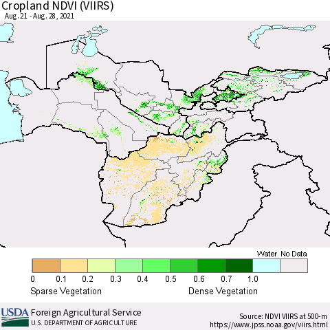Central Asia Cropland NDVI (VIIRS) Thematic Map For 8/21/2021 - 8/31/2021