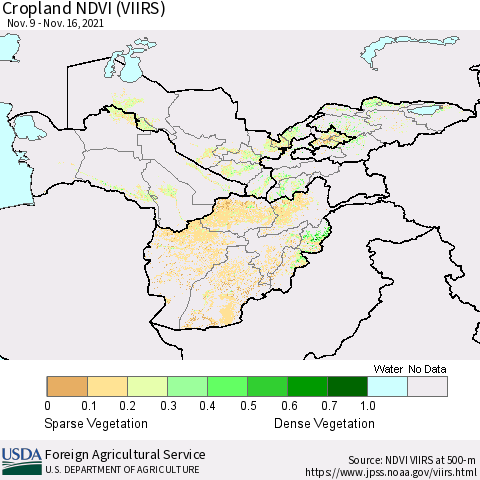 Central Asia Cropland NDVI (VIIRS) Thematic Map For 11/11/2021 - 11/20/2021