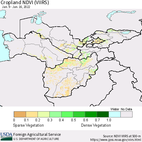 Central Asia Cropland NDVI (VIIRS) Thematic Map For 1/11/2022 - 1/20/2022
