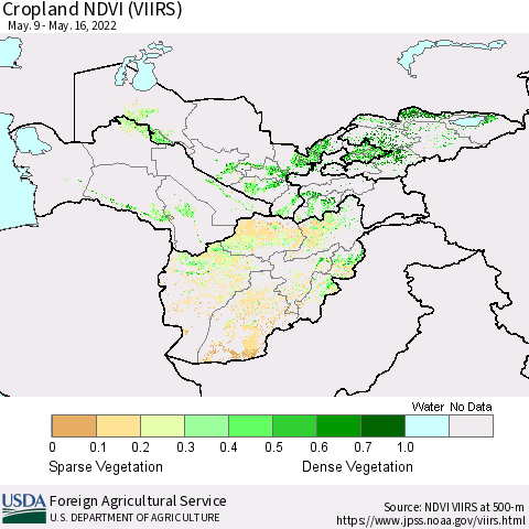 Central Asia Cropland NDVI (VIIRS) Thematic Map For 5/11/2022 - 5/20/2022