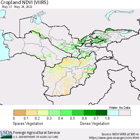 Central Asia Cropland NDVI (VIIRS) Thematic Map For 5/21/2022 - 5/31/2022