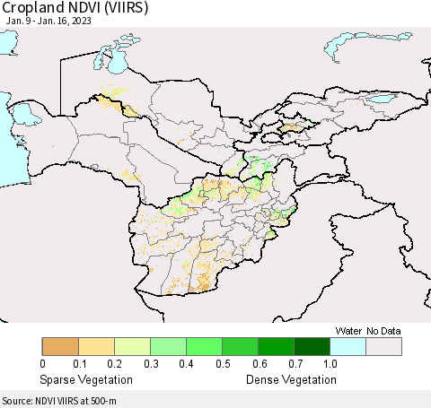Central Asia Cropland NDVI (VIIRS) Thematic Map For 1/9/2023 - 1/16/2023