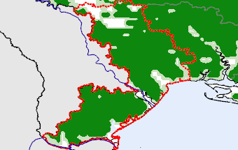 Odeska