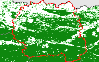 Zhytomyrska