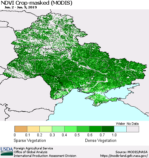 Ukraine, Moldova and Belarus Cropland NDVI (Terra-MODIS) Thematic Map For 6/1/2019 - 6/10/2019