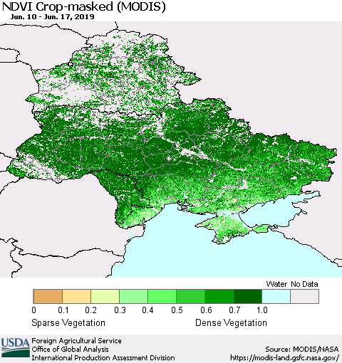 Ukraine, Moldova and Belarus Cropland NDVI (Terra-MODIS) Thematic Map For 6/11/2019 - 6/20/2019