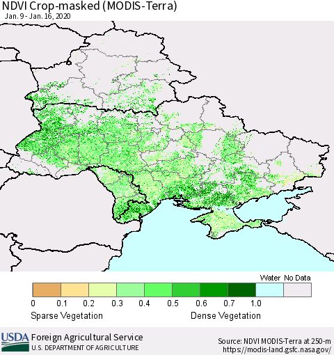 Ukraine, Moldova and Belarus Cropland NDVI (Terra-MODIS) Thematic Map For 1/11/2020 - 1/20/2020