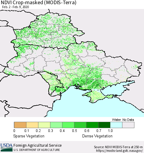 Ukraine, Moldova and Belarus Cropland NDVI (Terra-MODIS) Thematic Map For 2/1/2020 - 2/10/2020