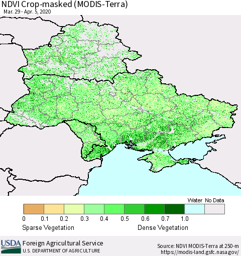 Ukraine, Moldova and Belarus Cropland NDVI (Terra-MODIS) Thematic Map For 4/1/2020 - 4/10/2020
