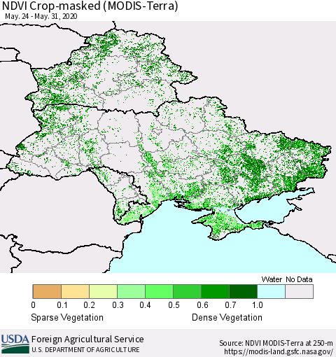 Ukraine, Moldova and Belarus Cropland NDVI (Terra-MODIS) Thematic Map For 5/21/2020 - 5/31/2020