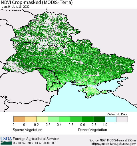 Ukraine, Moldova and Belarus Cropland NDVI (Terra-MODIS) Thematic Map For 6/11/2020 - 6/20/2020