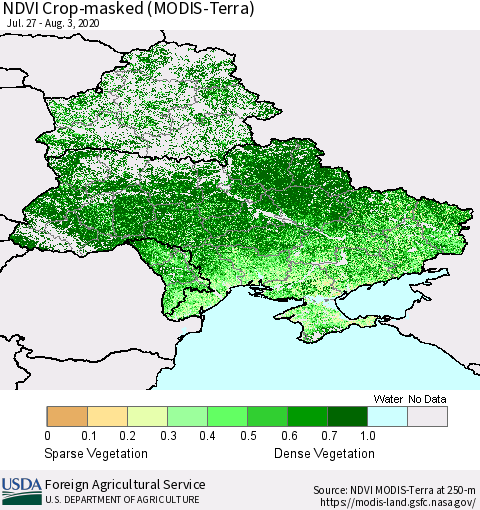 Ukraine, Moldova and Belarus Cropland NDVI (Terra-MODIS) Thematic Map For 8/1/2020 - 8/10/2020