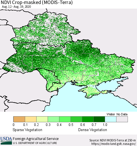 Ukraine, Moldova and Belarus Cropland NDVI (Terra-MODIS) Thematic Map For 8/11/2020 - 8/20/2020