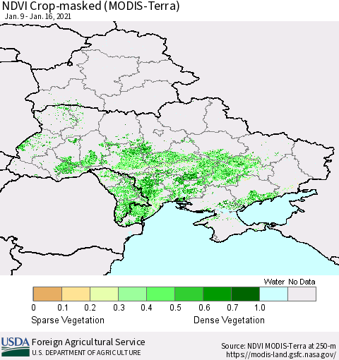 Ukraine, Moldova and Belarus Cropland NDVI (Terra-MODIS) Thematic Map For 1/11/2021 - 1/20/2021